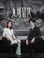无可替代的电视剧免费观看全集高清版